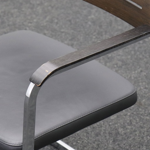 Freischwinger Konferenzstuhl Züco Fiato